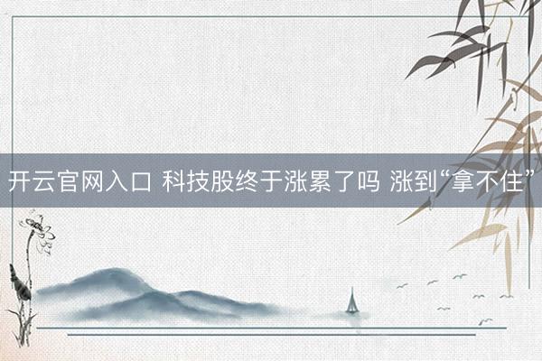 开云官网入口 科技股终于涨累了吗 涨到“拿不住”
