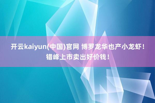 开云kaiyun(中国)官网 博罗龙华也产小龙虾!错峰上市卖出好价钱!